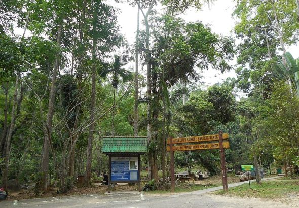 destinasi hutan wisata